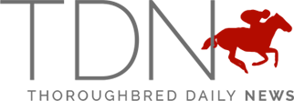 tdn-logo-new